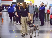 Transportation Security Administration culture