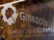 Ginkgo Bioworks  culture