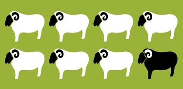 3 Ways to Become Truly Irreplaceable at Work | The Muse