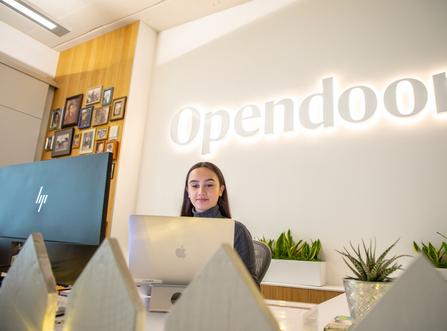 Opendoor company profile