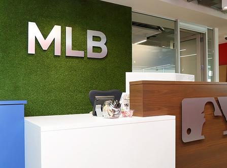 MLB company profile