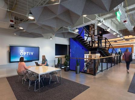 Optiv company profile