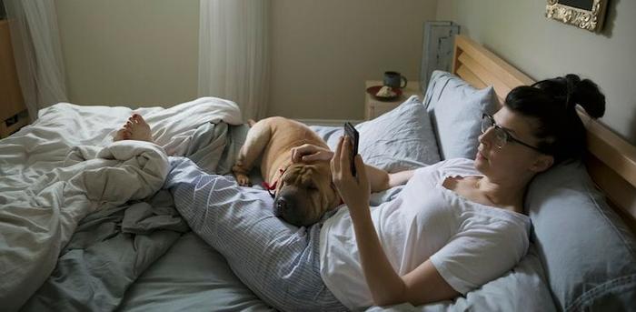 person in bed with dog courtesy Hero Images/Getty Images.