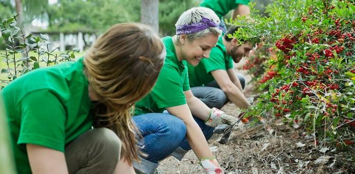 people volunteering