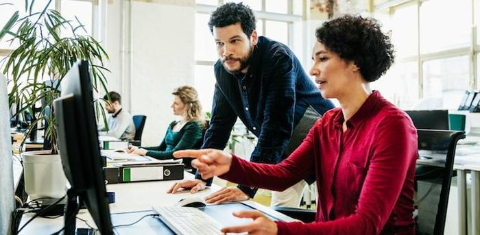 people working at computer