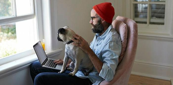 person on laptop with dog