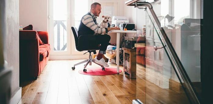 person sitting at desk on laptop with dog