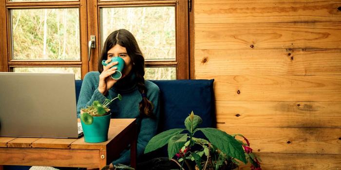 person sitting in a wood paneled room with their laptop open on a wooden desk in front of them, drinking out of a mug with plants nearby