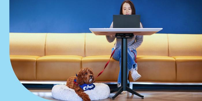 A Chewy employee sitting at a table with her laptop out and her dog resting by her feet.