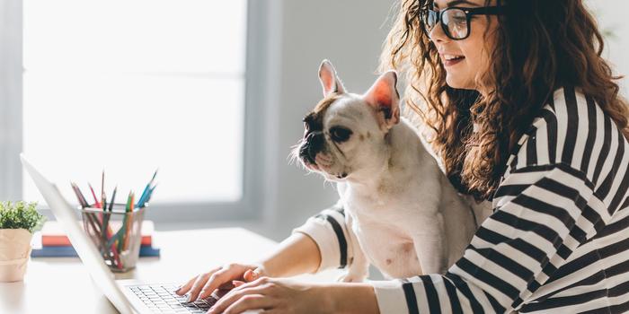 person sitting at a table, typing on a laptop with a dog sitting on the table between their arms