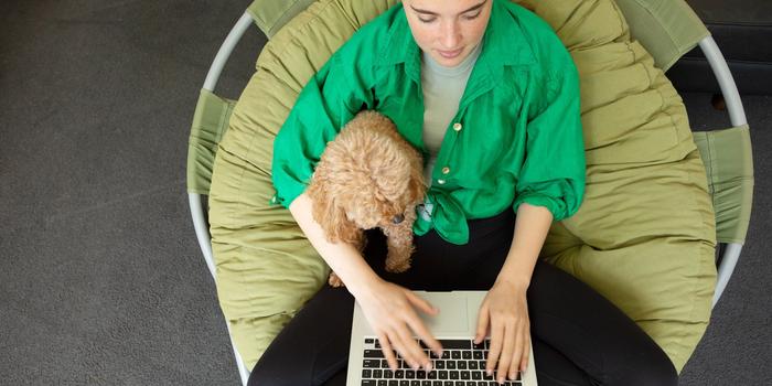 top-down view of a person sitting on a round chair typing on a laptop while a small dog sits next to them looking at the screen