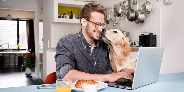 person sitting at a kitchen table, typing on a laptop, with a Golden Retriever standing next to them, putting its nose against their face