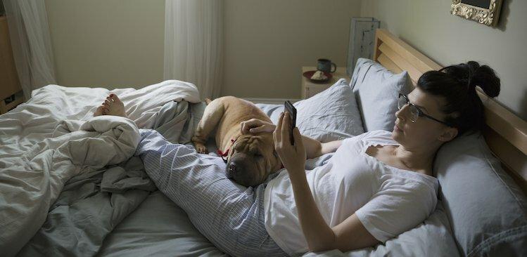 person in bed with dog courtesy Hero Images/Getty Images.