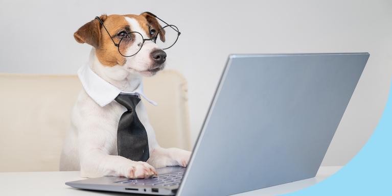 dog in round glasses and a black tie looking at laptop screen with paws on the keyboard, sitting in a white desk chair