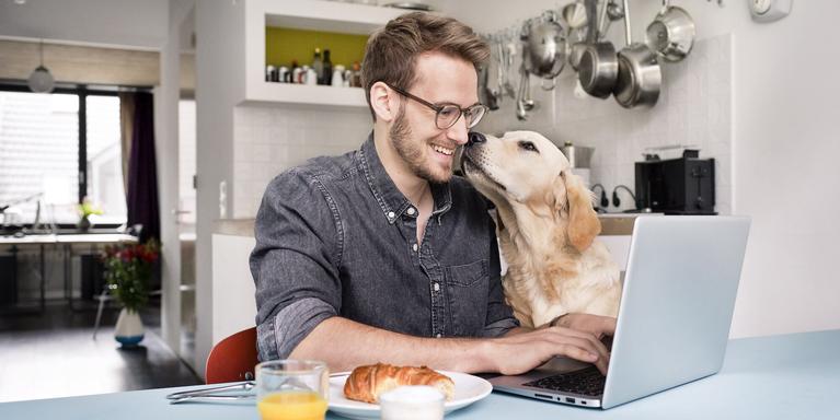 person sitting at a kitchen table, typing on a laptop, with a Golden Retriever standing next to them, putting its nose against their face