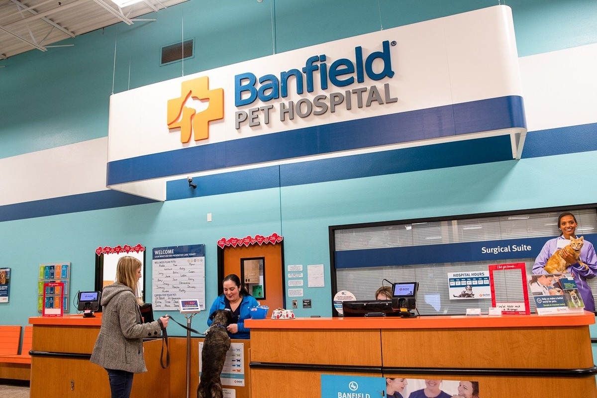 Banfield Pet Hospital Jobs And Company Culture