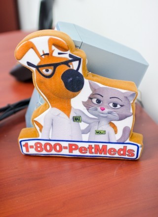1 800 Petmeds Jobs And Company Culture
