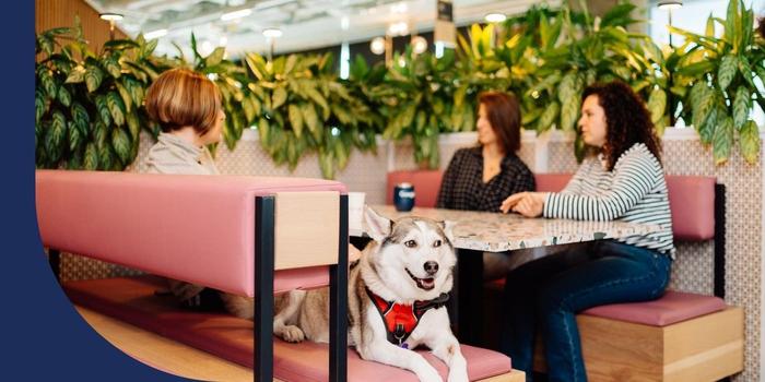 A service dog sitting in a booth with three Google employees at the office.