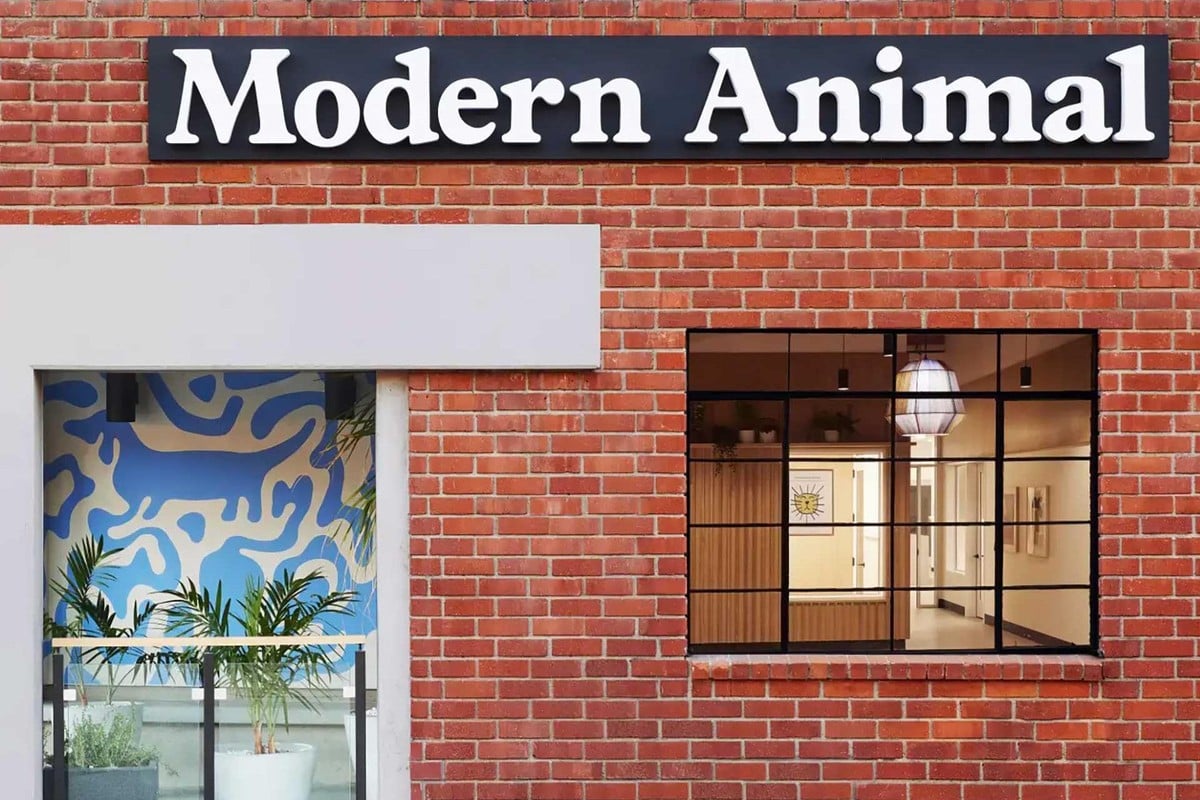 Modern Animal, Inc. company profile