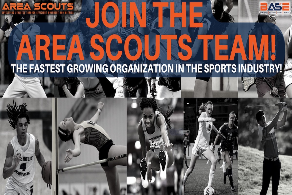 Area Scouts company profile