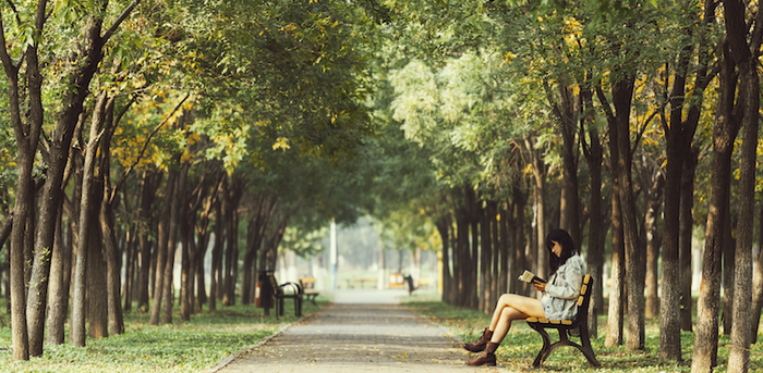 person sitting on a park bench reading a book