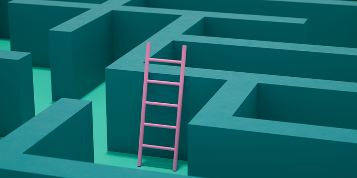 pink ladder sticking up out of a teal-colored maze