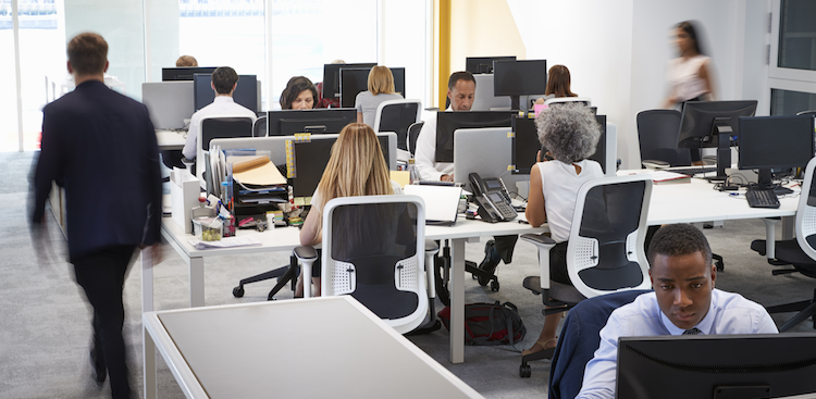 people working in a busy open office